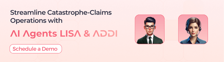 catastrophe insurance adjuster